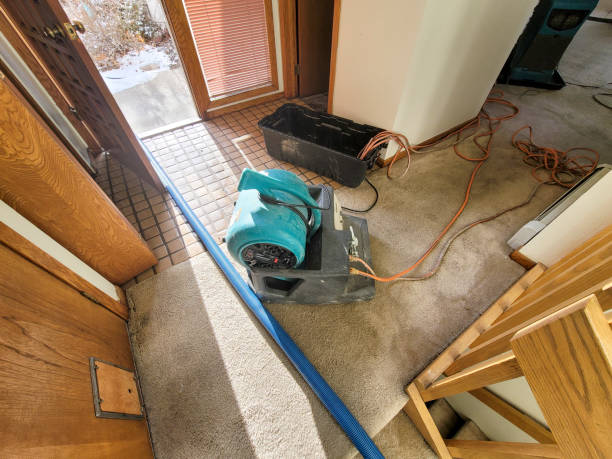 Water damage restoration insurance claims in Four Square Mile, CO
