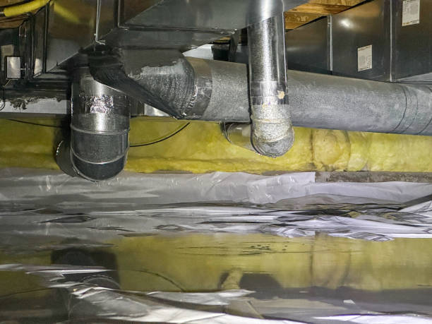Best Flood damage cleanup  in Four Square Mile, CO