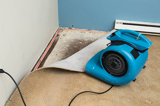 Best Flood restoration services  in Four Square Mile, CO